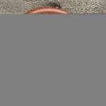 Ford Excursion 2002 Steering Wheel Restored to New Leather P3194